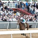 Renegade, Commandment, The Puma Leap to Top of Triple Crown Power Rankings